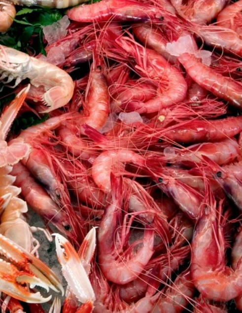 Mariscos frescos en el Restaurante La Sirena de Petrer